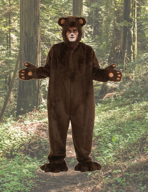 Bear Costume Bear Costume