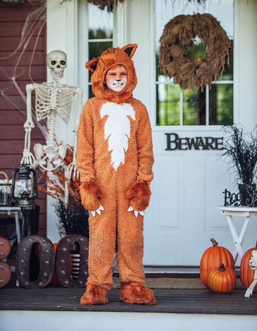 Fox Costume Fox Costume