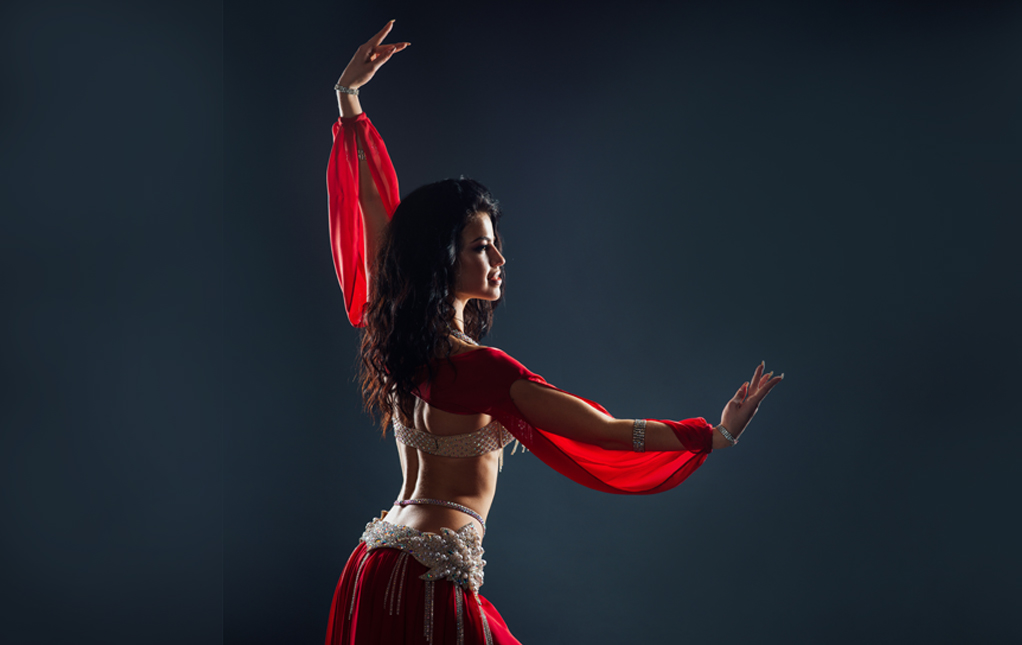 Belly Dancer Costume Belly Dancer Costume