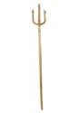 Golden Trident