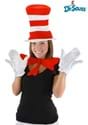 Adult Cat in the Hat Accessory Costume Kit