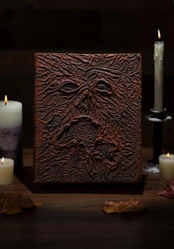 Evil Dead 2 Necronomicon Prop with Pages-update_