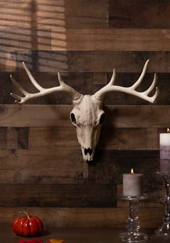 21" Buck Skull new