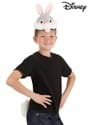 Disney Bambi Thumper Soft Headband Tail Kit Main-1