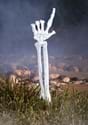Boney Skeleton Arm Decoration-0
