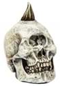 Cyclops Skull Prop