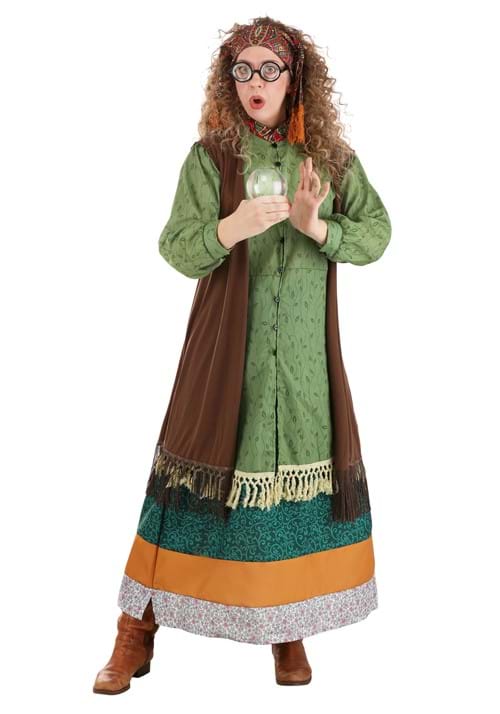 Harry Potter Plus Size Professor Trelawney Main
